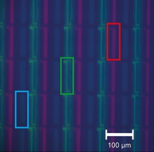 Smartphone screen with steady-state spectra