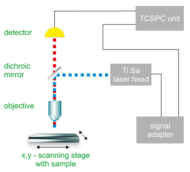 Schene iof a general set-up for a fluorescence lifetime imaging microscope with TPE excitation