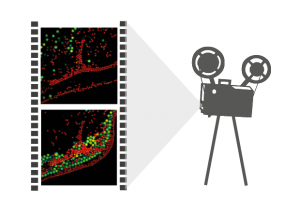 Image rapidFLIM HiRes (Fluorescence Lifetime Imaging) NEW