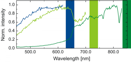 Photoluminescence spectra of a GaAsP quantum well system