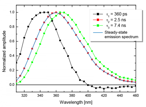 Decay associated spectra of tryptophan