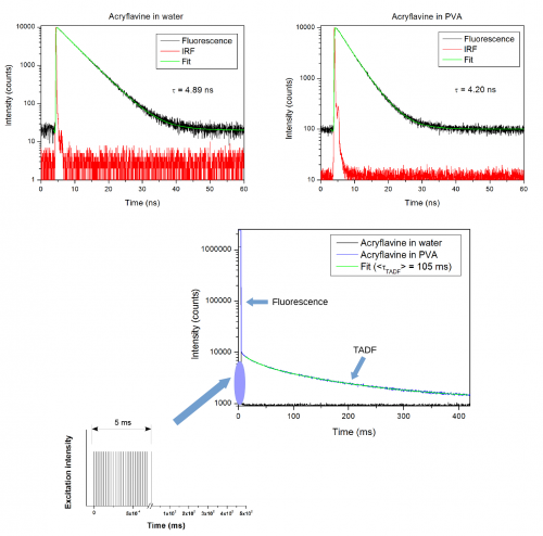 Thermally-activated delayed fluorescence decays of acryflavine in PVA