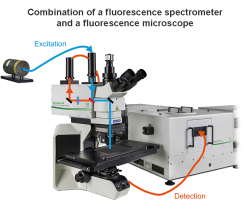 Coupling the FluoTime 300 time-resolved spectrometer with the MicroTime 100 scanning microscope. This combination allows scanning and recording data from any sample mounted on the microscope stage.