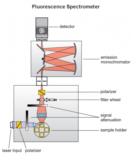 Scheme of the general layout of a fluorescence spectrometer