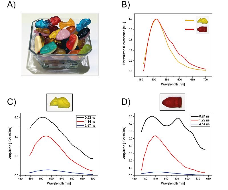 Gummy bears (A) and their spectral properties: steady-sate spectra of a yellow and red gummy bear recorded upon excitation at 440 nm (B), TRES of the yellow gummy bear (C) and of the red one (D)