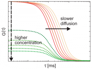 Image Fluorescence Correlation Spectroscopy (FCS)