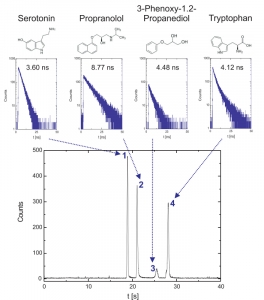 Label-free detection of native analyte fluorescence performed on a fluidic microchip