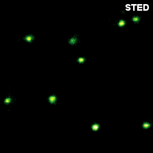 STED image of crimson beads with 20 nm diameter