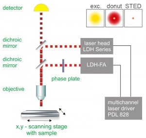 Scheme of a typical STED set-up