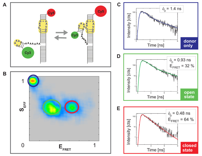 Monitoring Mg2+ driven RNA folding of a tetraloop receptor by PIE-FRET