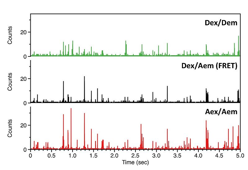 Time trace of detected photo events