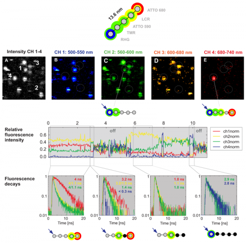 Multistep FRET analysis of a single photonic wire