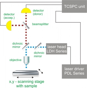 Scheme of a generalized set-up for FLIM-FRET measurements