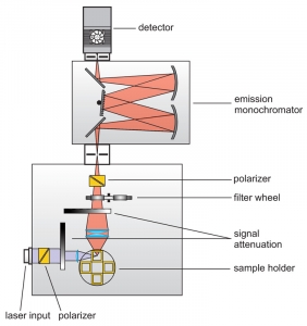 Scheme of a generalized set-up for a time-resolved fluorescence spectrometer