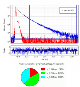 Anisotropy decay measurement of Apomyoglobin in buffer