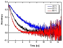 Fluorescence Anisotropy (Polarization)