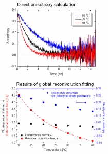 Measuring the dynamic anisotropy of Coumarin 6 at various temperatures