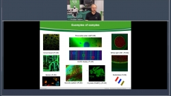 NEW TOPIC: Microscopy in materials science