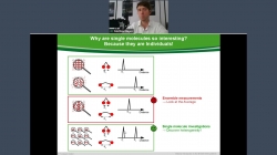 Basics of time-resolved fluorescence microscopy – An introduction to PicoQuant‘s MicroTime 200 STED microscopy platform