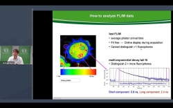 How Fluorescence Lifetime Imaging (FLIM) can help you solve daily research challenges