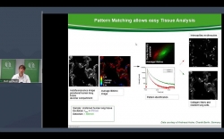 How Fluorescence Lifetime Imaging (FLIM) can help you solve daily research challenges