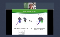 Applications of single molecule FRET (smFRET) in structural biology