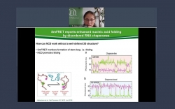 Applications of single molecule FRET (smFRET) in structural biology