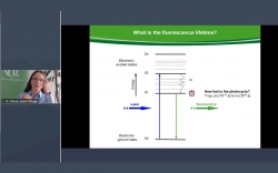 Environmental sensing with Fluorescence Lifetime Imaging (FLIM)