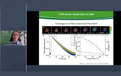 Environmental sensing with Fluorescence Lifetime Imaging (FLIM)