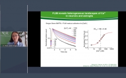 Environmental sensing with Fluorescence Lifetime Imaging (FLIM)