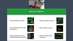 Visualizing dynamic processes with rapidFLIM<sup>HiRes</sup> – the ultra fast FLIM imaging method with outstanding 10 ps time resolution