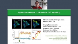 Visualizing dynamic processes with rapidFLIM<sup>HiRes</sup> – the ultra fast FLIM imaging method with outstanding 10 ps time resolution