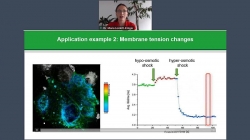 Visualizing dynamic processes with rapidFLIM<sup>HiRes</sup> – the ultra fast FLIM imaging method with outstanding 10 ps time resolution