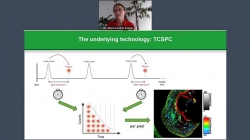 Visualizing dynamic processes with rapidFLIM<sup>HiRes</sup> – the ultra fast FLIM imaging method with outstanding 10 ps time resolution