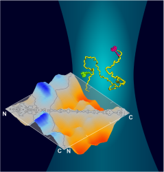 Invited webinar - Functional studies of dysfunctional proteins