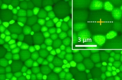 Invited webinar - Study of Defects in Metal Halide Perovskites