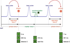 Time Tagged Time-resolved Fluorescence Data Collection in Life Sciences