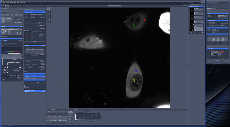 Multi-spot selection in ZEISS ZEN software with subsequent data analysis in PicoQuant’s SymPhoTime software