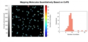 Molecular Counting