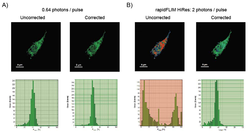 FLIM-FRET imaging of a CHO cell 