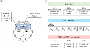 New potential techniques for neuromonitoring using PicoQuant instrumentation