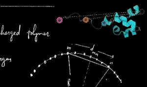 Free webinar: Uncovering the conformational dynamics of IDPs