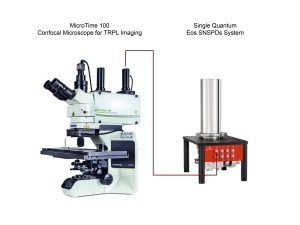 Image MicroTime 100 SNSPDs coupling