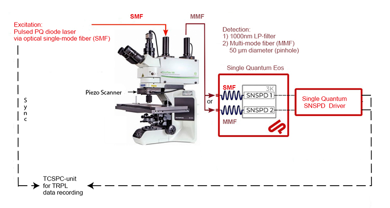 MicroTime 100 SNSPDs coupling set-up