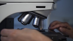 Produktionsingenieur (m/w/d) für Mikroskopie-Systeme und Fluoreszenzspektrometer