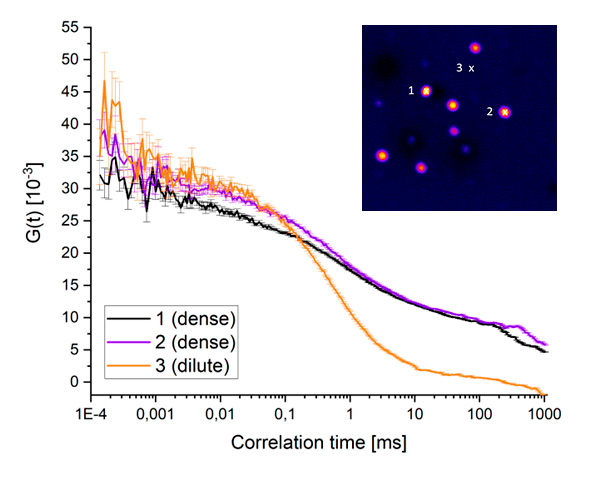 image FCS graph