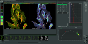 Introducing NovaFLIM: Advanced analysis of images