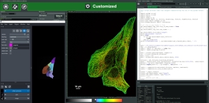 New Features Luminosa 2.0  New workflow for FRAP and a Python interface.