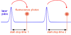 Time-Correlated Single Photon Counting