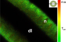 Two-photon Excitation Using the MicroTime 200